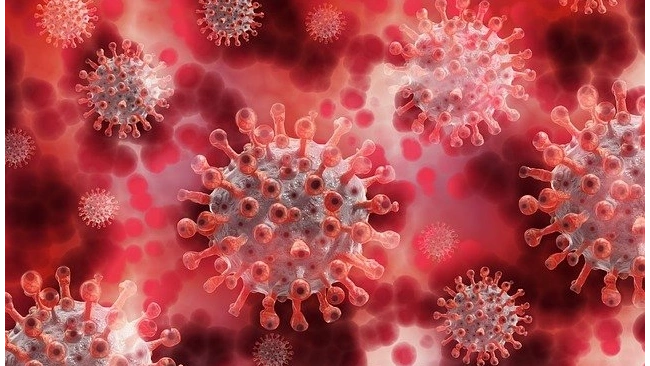 Более 7 тыс. человек в Сосновом Бору заболели коронавирусом за время пандемии 