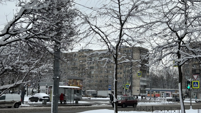 В Петербурге 14 февраля будет облачно и снежно