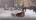 Более 160 тысяч кубометров снега приняли за 10 дней "снежные" пункты Водоканала 