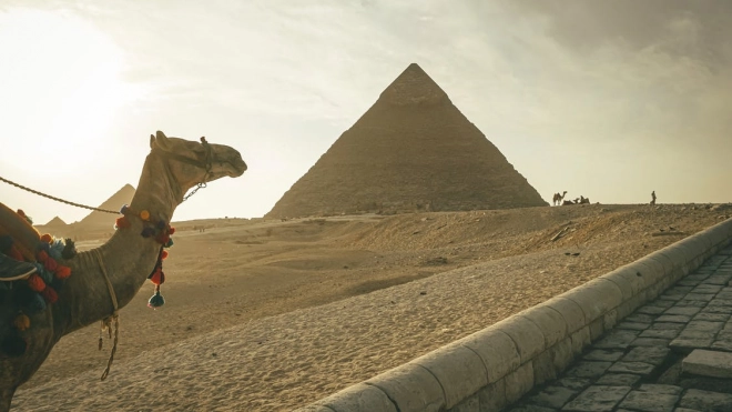 Пирамиду Хеопса начнут изучать с помощью космических лучей