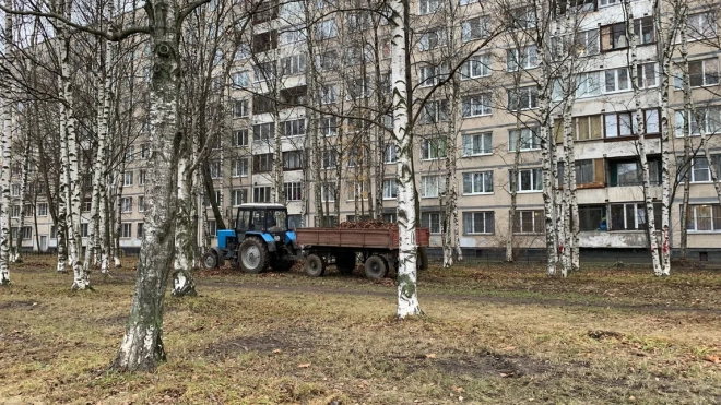 Петербуржцам предложили оценить качество уборки дворов осенью