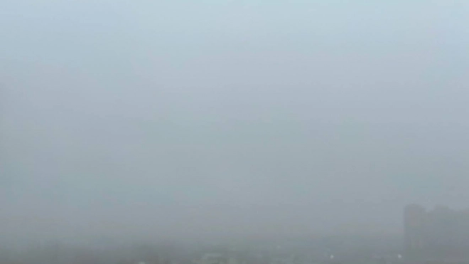 Улицы Петербурга утром 26 марта окутал туман