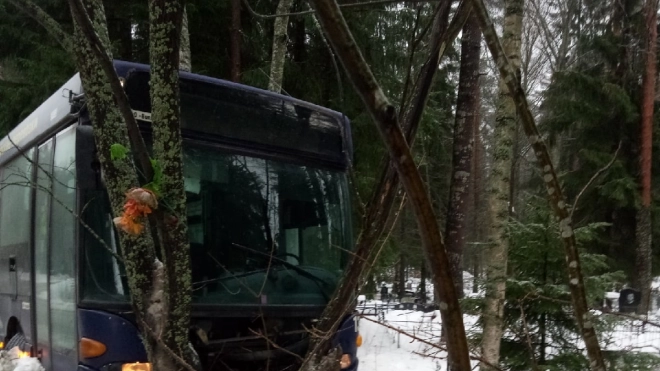 В Приморске водитель автобуса не справился с управлением и заехал на кладбище