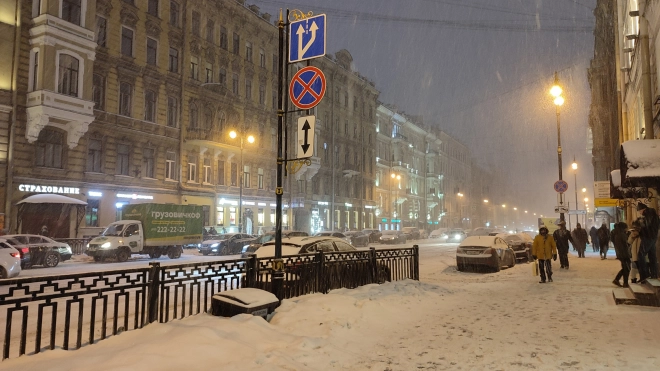 С начала зимы в Петербурге было 48 снежных дней