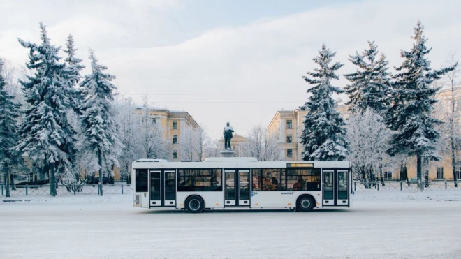 Новый автобусный маршрут №333 соединит три района Петербурга