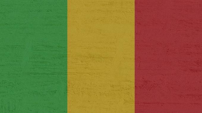в Мали поднявшие мятеж военные арестовали ряд министров 