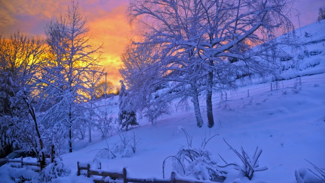 В Ленобласти ночью 17 декабря местами похолодает до -18 градусов