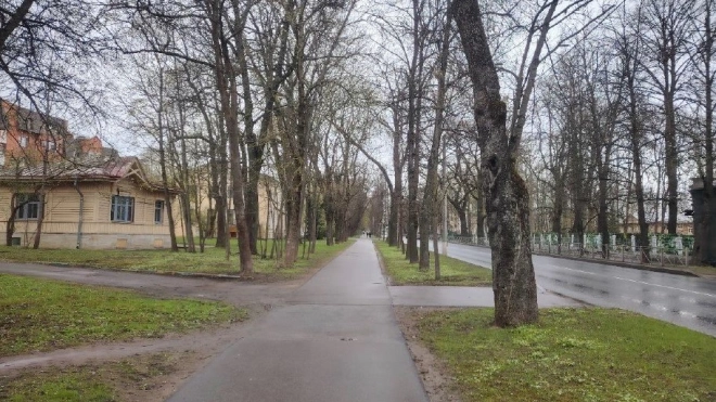 Участок Павловского шоссе в Пушкине признали памятником