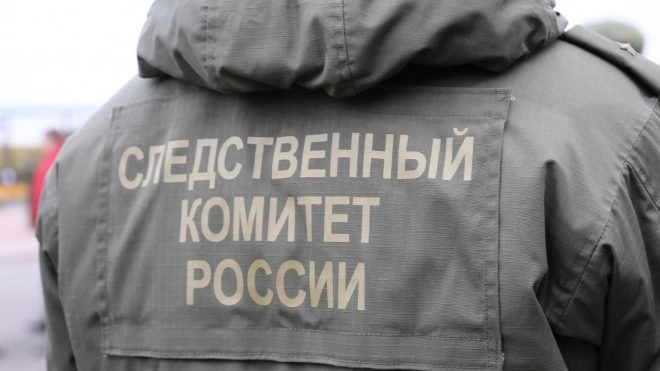 Следком проверит шумных и "грязных" мигрантов в Горелово