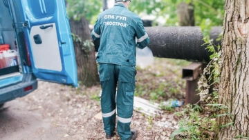 В экологические службы за неделю обратилось более 140 петербуржцев 