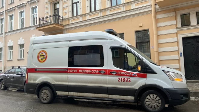 В центре Петербурга водитель иномарки сломал нос сбитому пешеходу