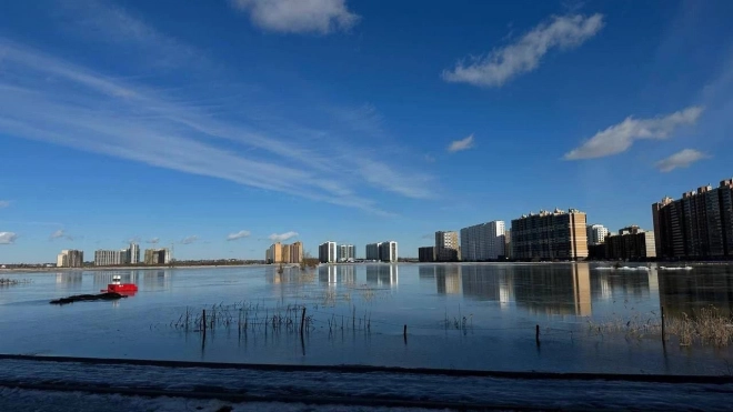 В Мурино арт-объект "Краб" погрузился под воду