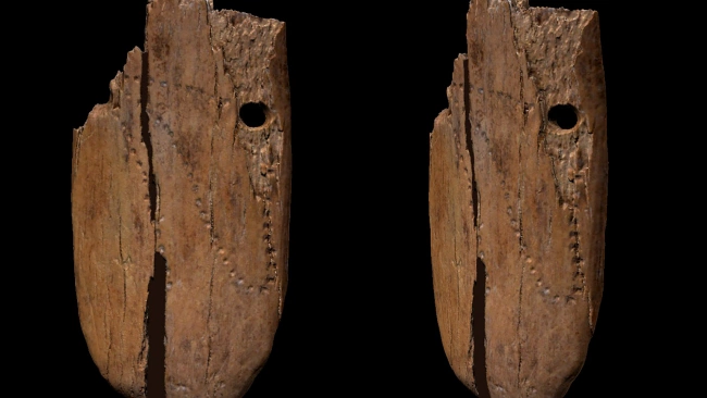 В Польше обнаружено древнейшее украшение из кости мамонта 