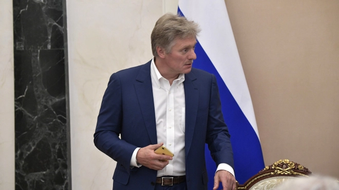 В Кремле объяснили повышенное внимание властей к нелегальным мигрантам  