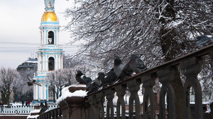 Кратковременный снег и похолодание ожидается в Петербург 29 марта 