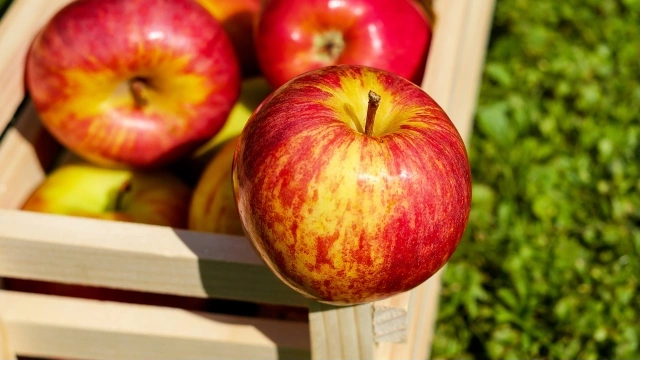 СМИ: польские садоводы вынуждены продавать яблоки ниже себестоимости из-за эмбарго России