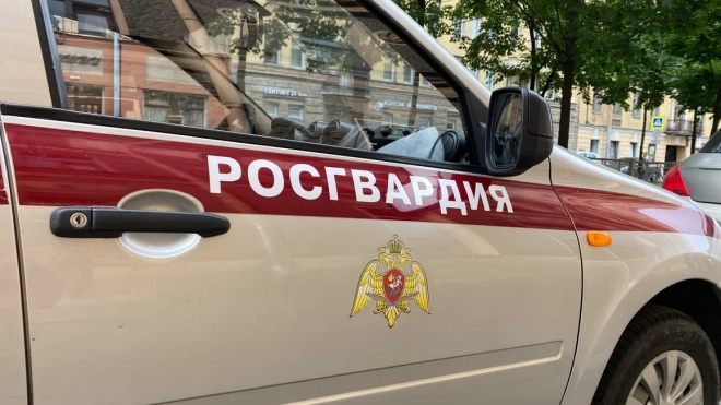Росгвардейцы задержали со стрельбой пьяных хулиганов в Новом Петергофе