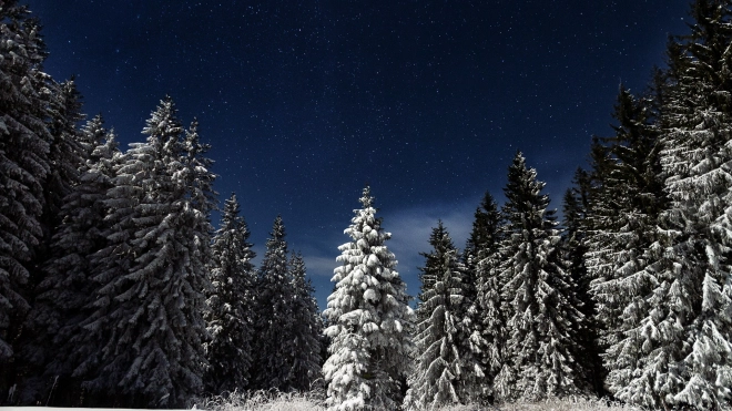 В Ленобласти 12 декабря местами пройдёт сильный снег
