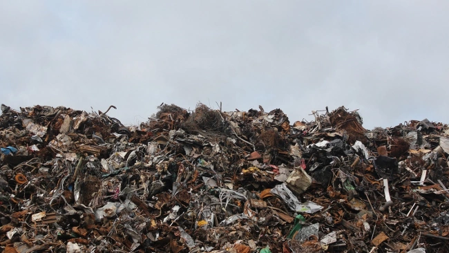 Нарушителей перевозки отходов в Ленобласти стало меньше после рейдов эконадзора