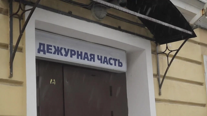 Во Всеволожском районе задержали двух мигрантов  за развратные действия 