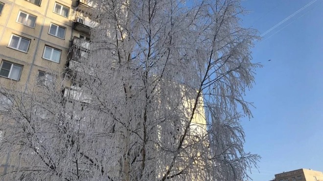 Синоптик рассказал о погоде в Подмосковье перед Новым годом