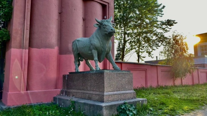 Скульптуры быков на Московском шоссе отремонтировали без согласования с КГИОП