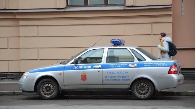 В Пушкине на Саперной улице водитель устроил стрельбу