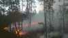 В Карелии бушует 25 лесных пожаров, в республику прибыва...