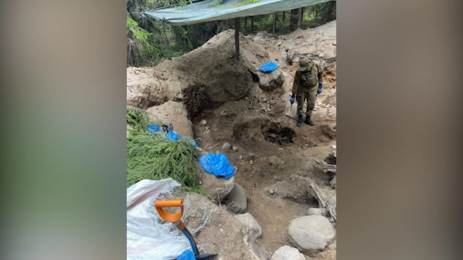 В лесном массиве Ленобласти обнаружили костные останки 17 человек
