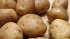 Россия увеличивает посевные площади под овощами открытого грунта на 7,9%, под картофелем - на 6,7%