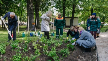 В Князь-Владимирском сквере победители "Парада садов" высадили многолетние растения 
