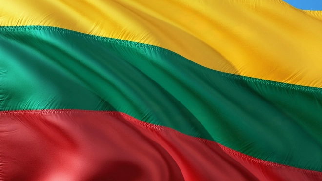 В Литве назвали провокацией Белоруссии историю с умершим мигрантом