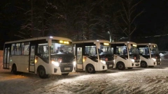 Мурино и Санкт-Петербург связал новый автобусный маршрут