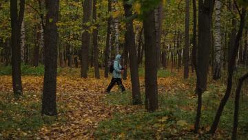 В комиссии ЗакСа по городскому хозяйству началось рассмотрение поправок в законопроект о  Зеленых насаждениях