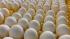 Птицеводы Ленобласти полностью обеспечили магазины региона яйцами к Пасхе