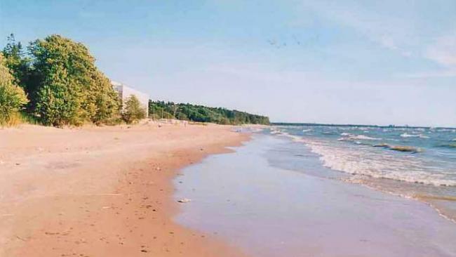 Этим летом в Ленобласти будут открыты около 45 пляжей