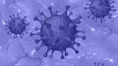 Китайские врачи подтвердили эффективность арбидола против коронавируса