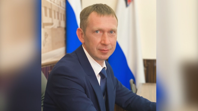Эксперт прокомментировал появление первого в России вице-губернатора по борьбе с коронавирусом