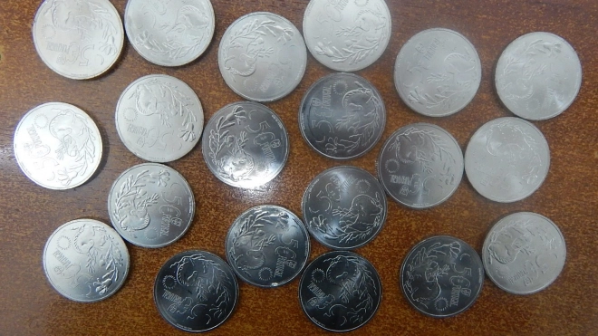 Кингисеппские таможенники обнаружили 40-килограммовую партию монет