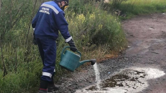 Петербургская прокуратура занялась разливом химических отходов в Выборгском районе