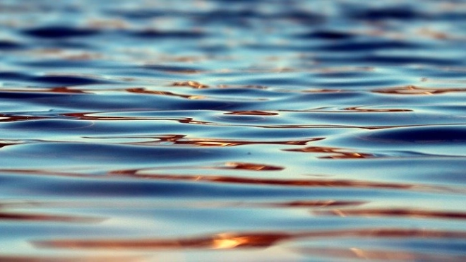 В Фермском озере в Парголово утонул 4-летний мальчик