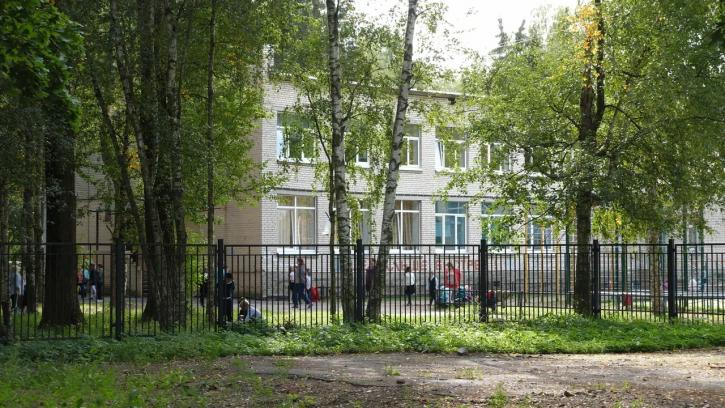 Система образования Петербурга не подготовлена для обучения детей с РАС