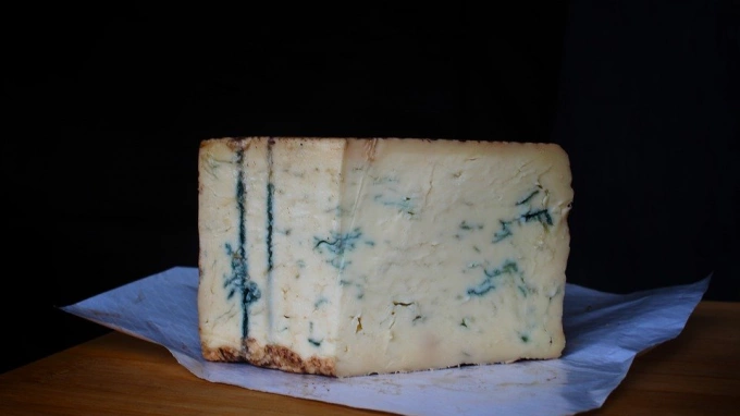 Древние жители Австрии пили пиво и ели сыр с голубой плесенью 