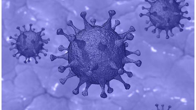 В Сколтехе дали критическую оценку американскому исследованию коронавируса 