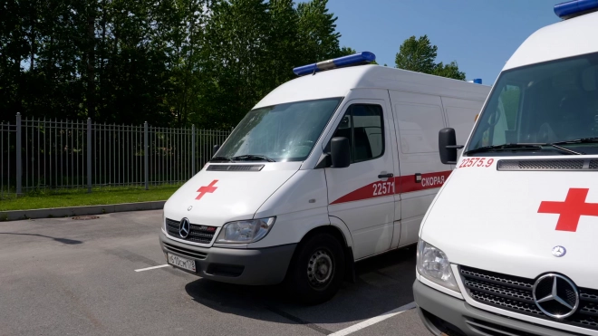 На Колтушском шоссе водитель тягача сбил детей 2 и 8 лет