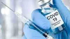 Вакцина от коронавируса закончилась в пяти райцентрах Псковской области