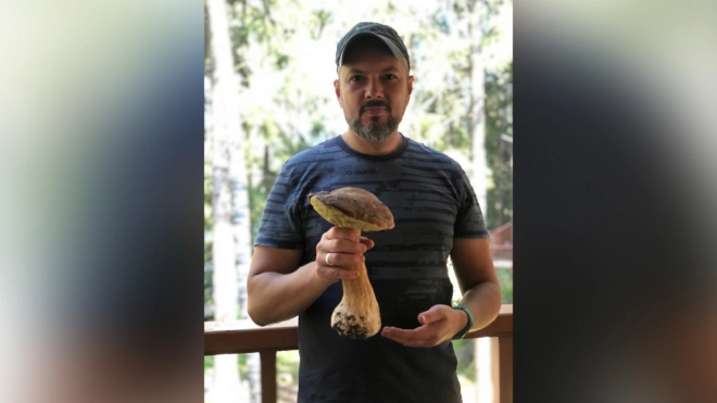 Под Петербургом нашли белый гриб весом 576 грамм