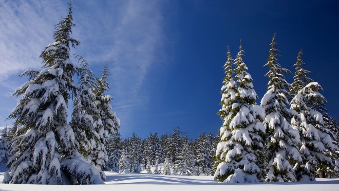 В Ленобласти ночью 20 января температура местами опустится до -25 градусов