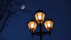 В Кировском районе Петербурга установят 625 новых светильников