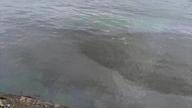 Росприроднадзор начал искать источник нефтяных пятен в Неве на Васильевском острове